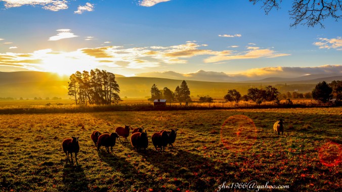 201210(Highland)_028E - Copy - Copy